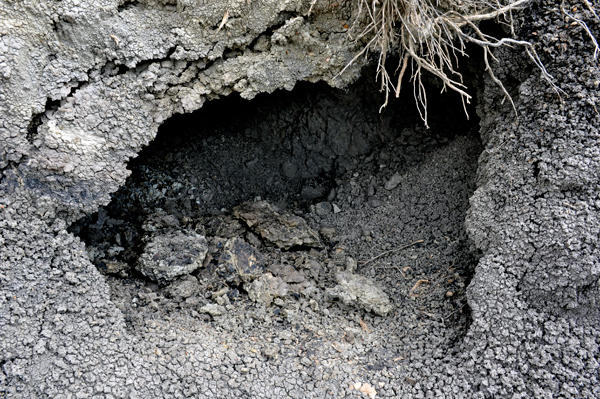 big hole along the trail